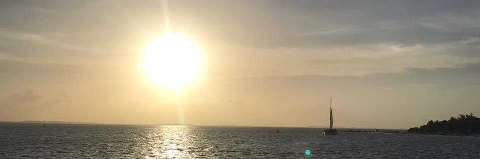 el0aporte's profile banner image