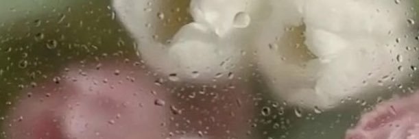 しぃあ banner