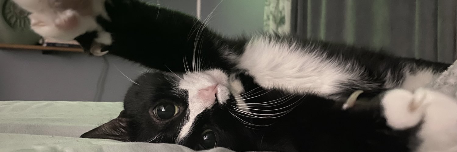 schmitato's profile banner image