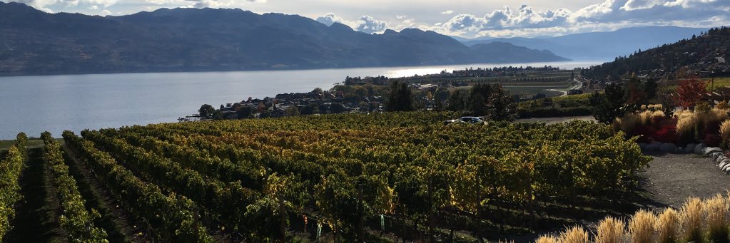 Delectatiowines's profile banner image
