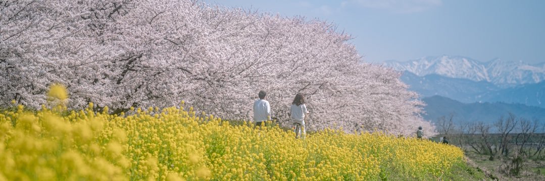 irodorieye's profile banner image