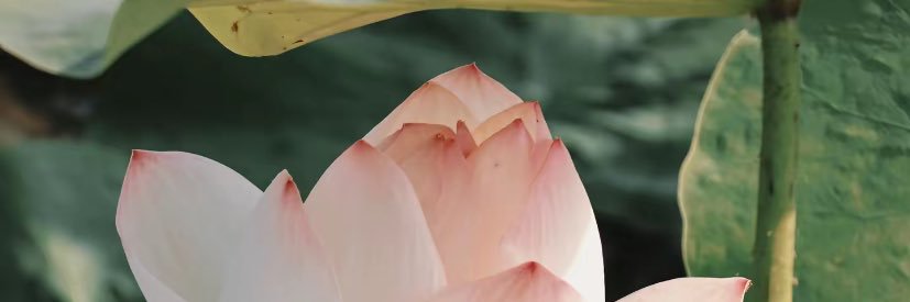 alwaysonlineouo's profile banner image