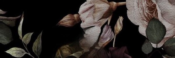 kairiscloud Profile Banner