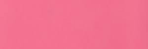 捕虜's banner