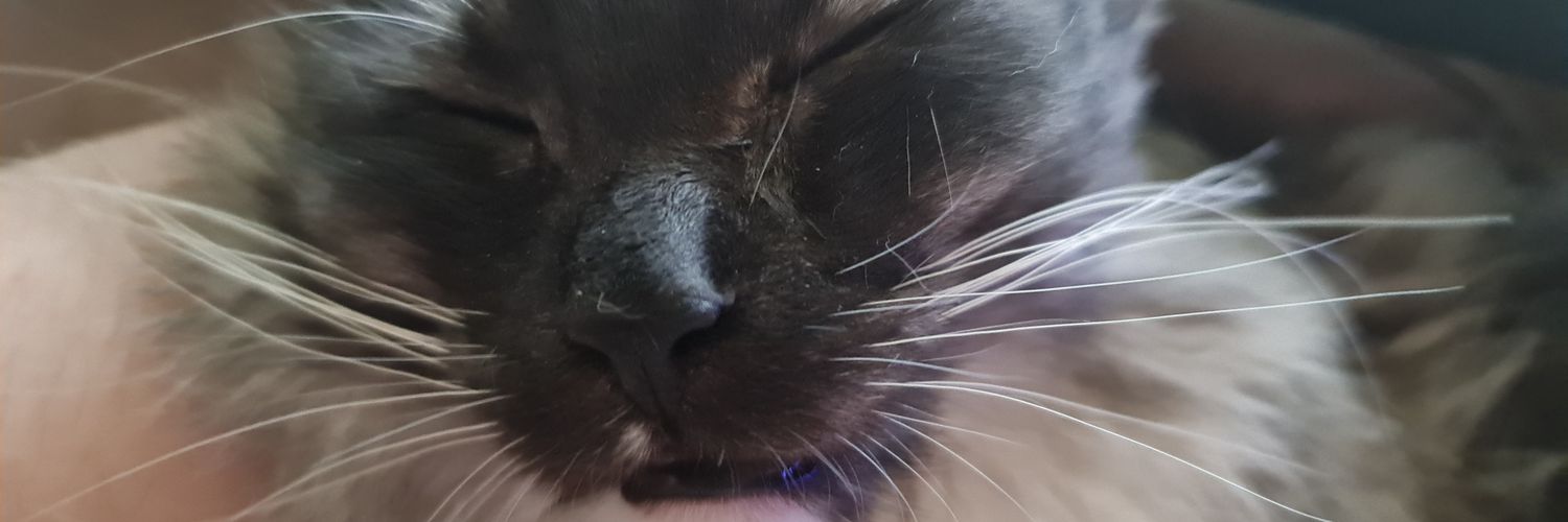 AcelCryo's profile banner image