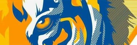 𝑮𝑬𝑹𝑨𝑹𝑫®️ 🌐 banner