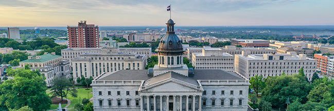 South Carolina Senate Democrats's banner