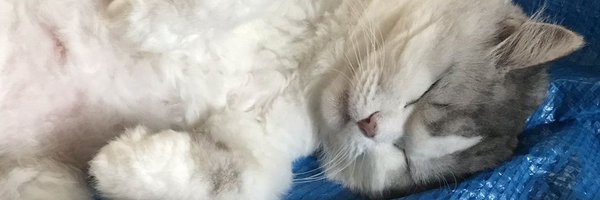 Kuron_yaaaaN Profile Banner