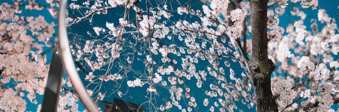 nickng425's profile banner image