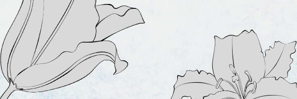 910e_sgr's profile banner image