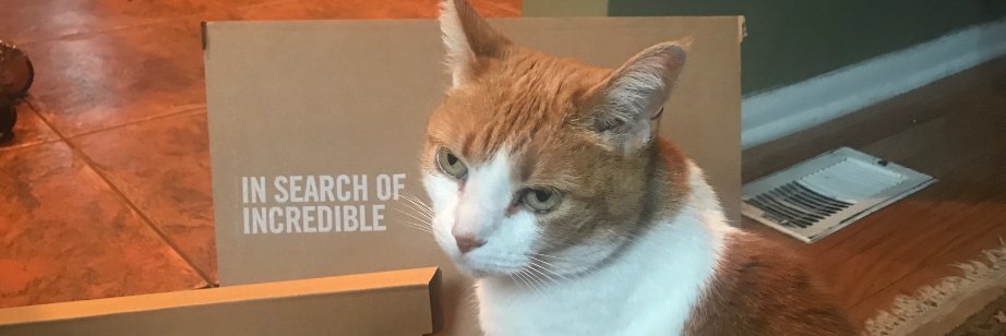 TrickyNik127's profile banner image