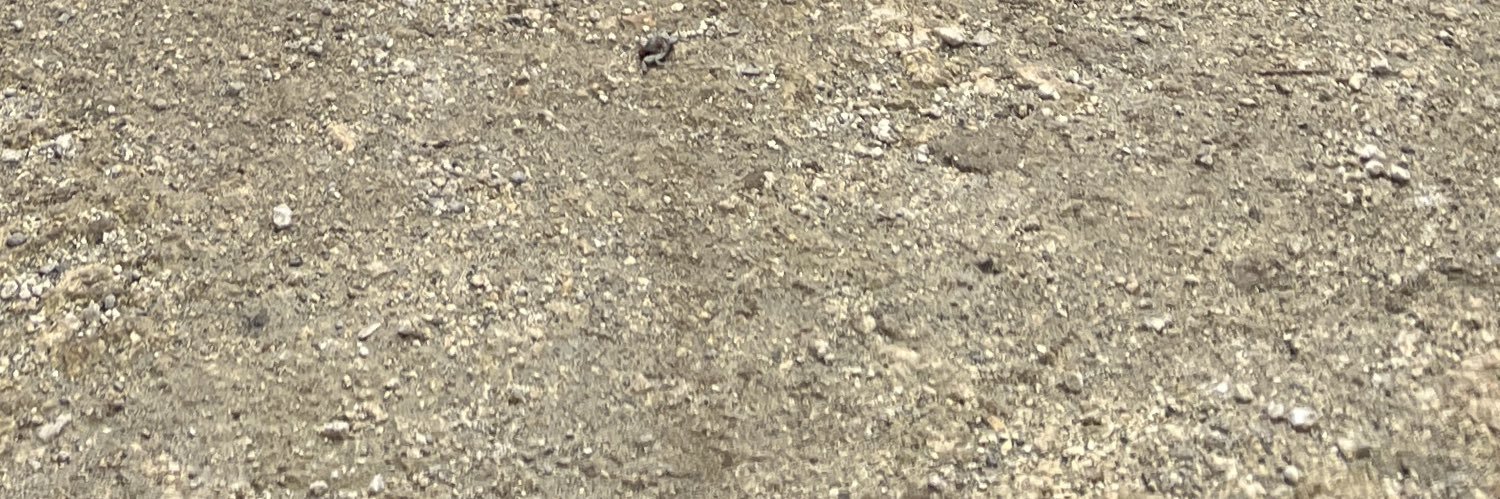 ordinarypeople banner