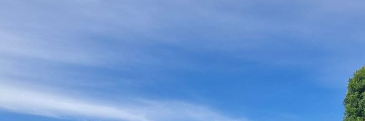 wixaprlx's profile banner image