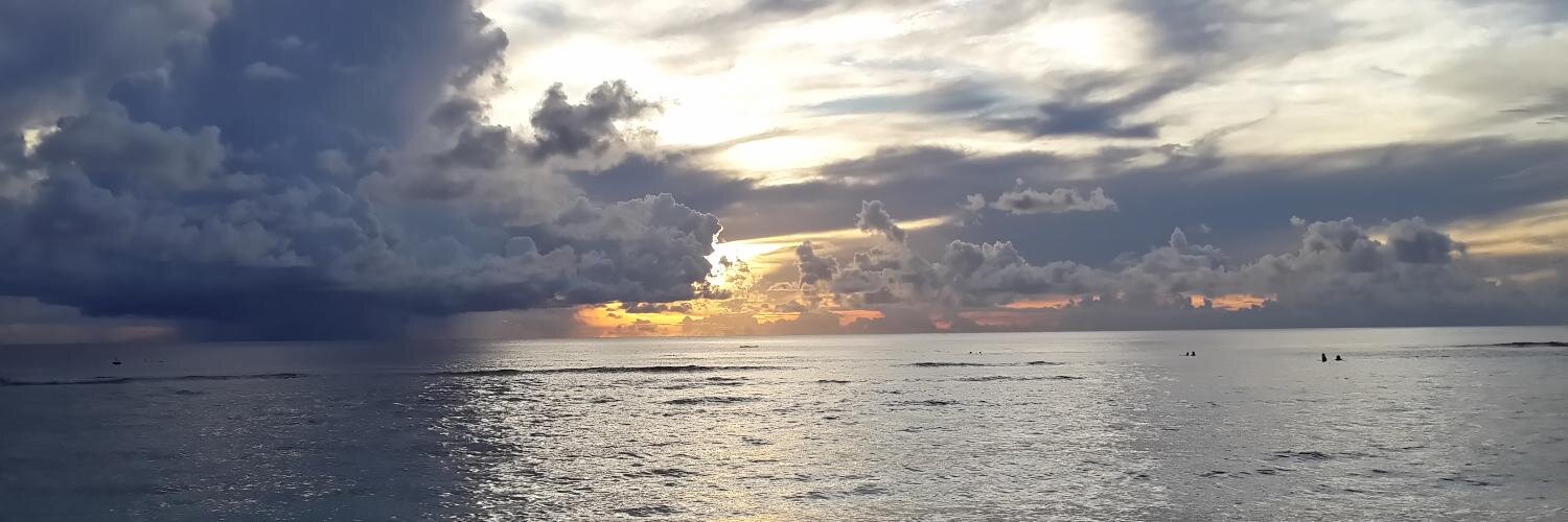 megzo03's profile banner image