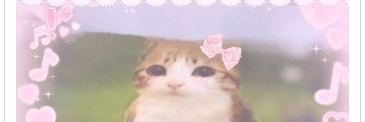 ⃟⃝🫧𝓑𝓾𝓫𝓾🫧⃝⃟ banner