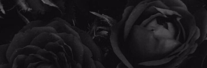 Torionlashay's profile banner image