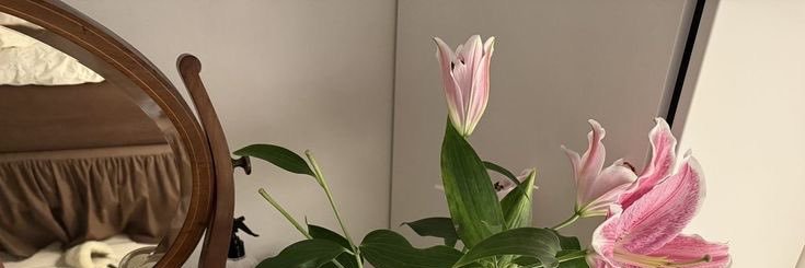 ۟ banner