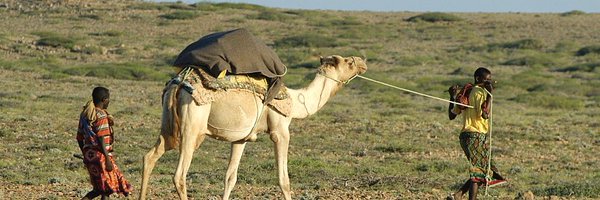 RedSeaEnjoyer Profile Banner