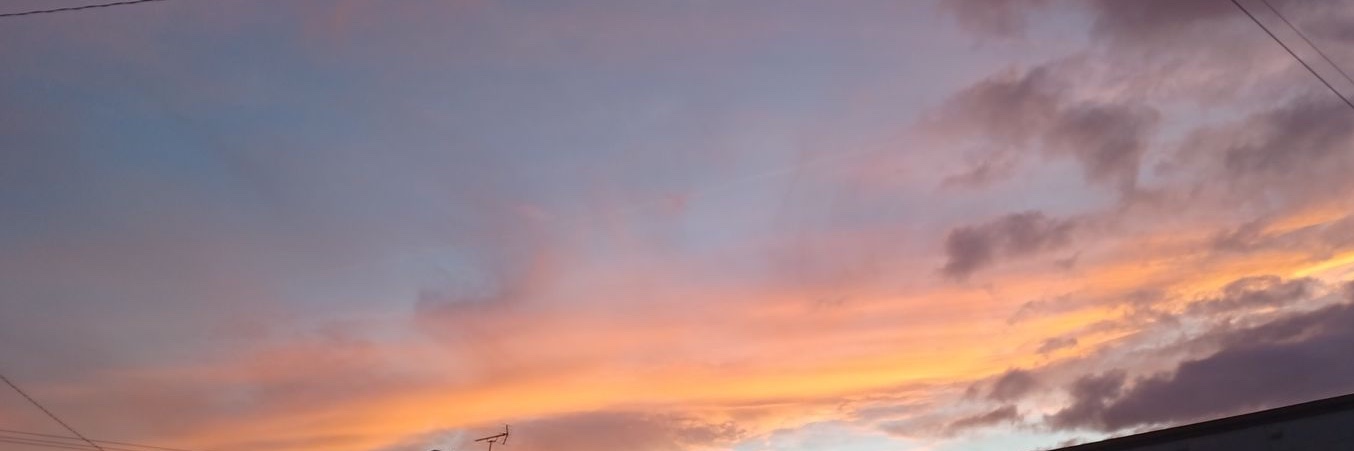 やさい banner