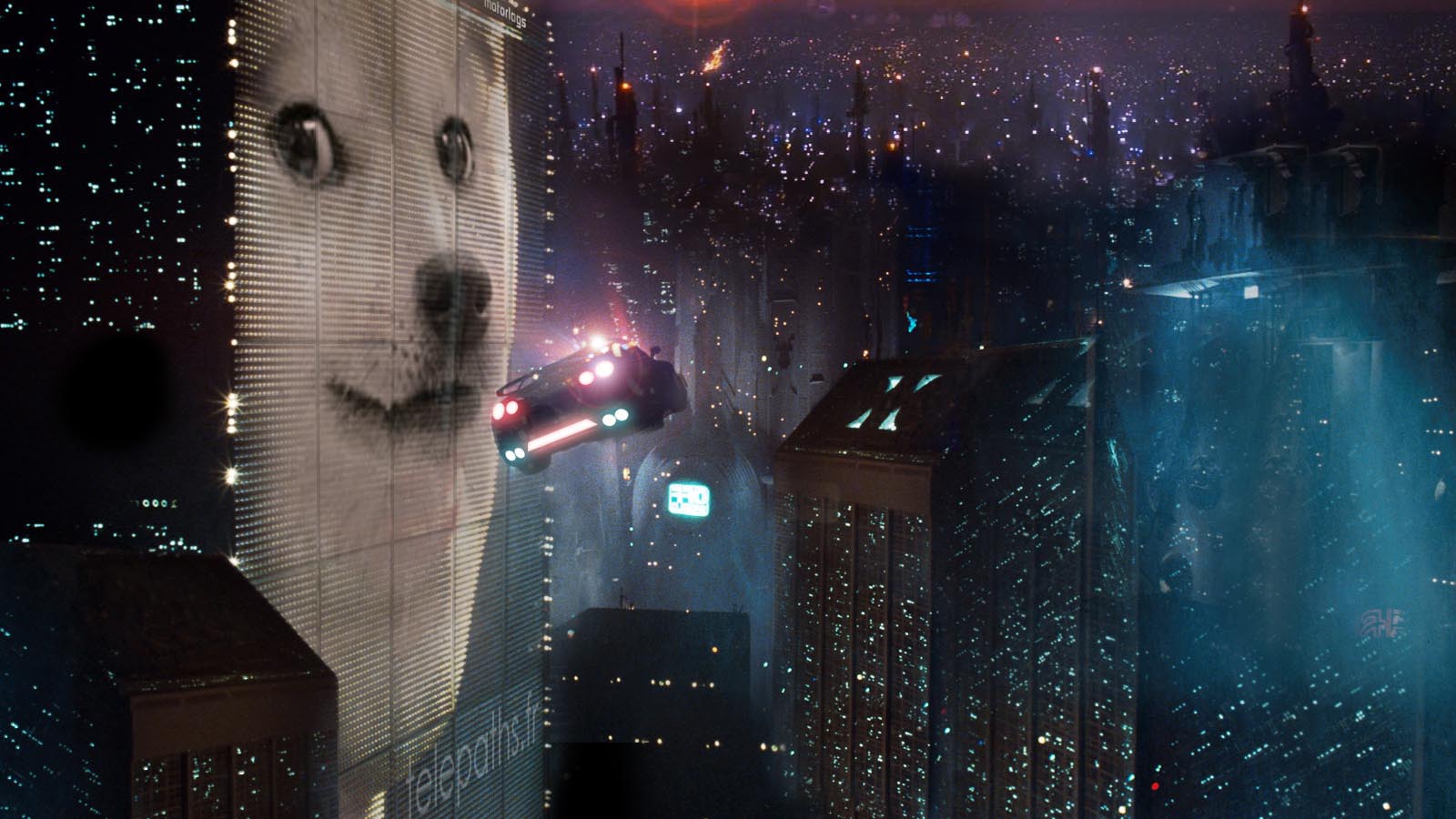 Twitter banner for @fixating