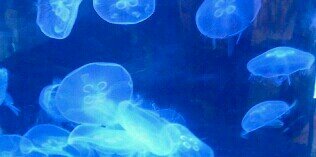Nadia_Symone's profile banner image