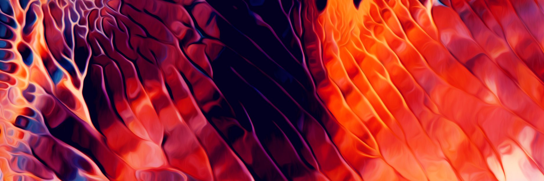 Jim_LePage's profile banner image
