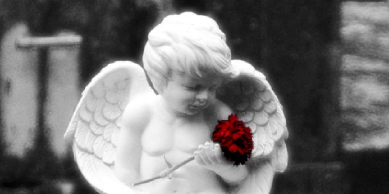 Tuul1102's profile banner image