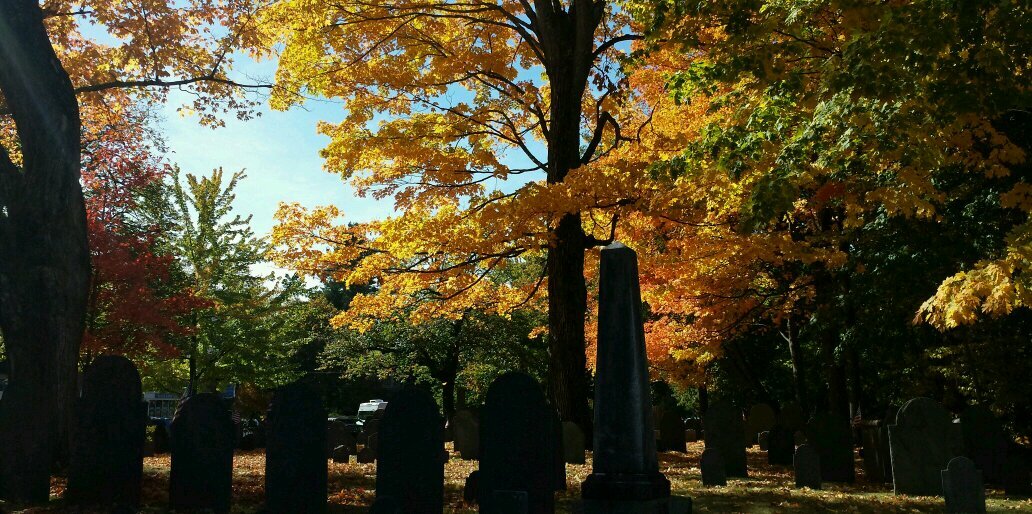 JaneBurson's profile banner image