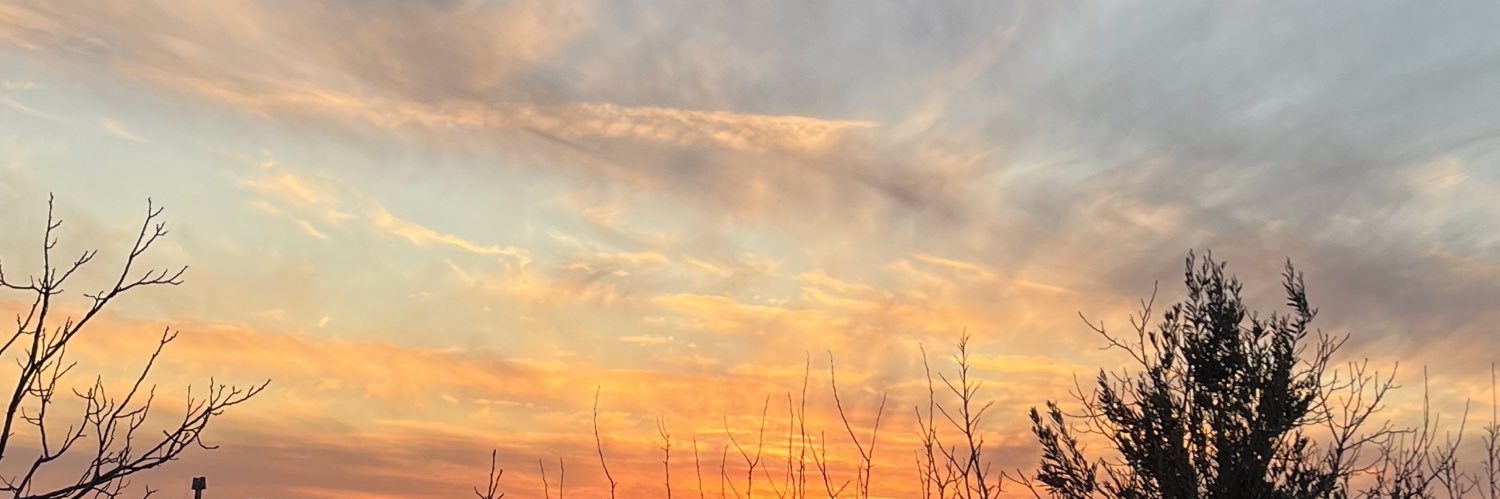 خانومِ آراشــــــگَر banner