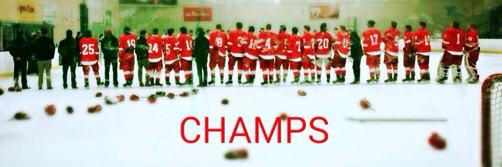 NERedWings's profile banner image