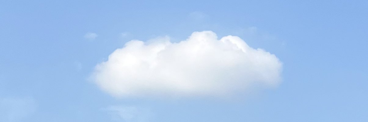 烤面筋 banner