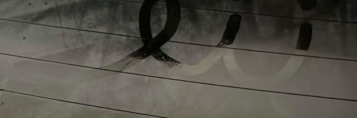 s👅 banner