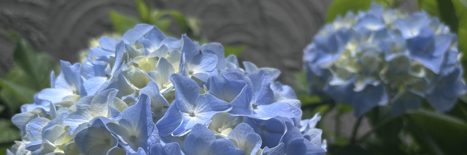 yunamuras's profile banner image