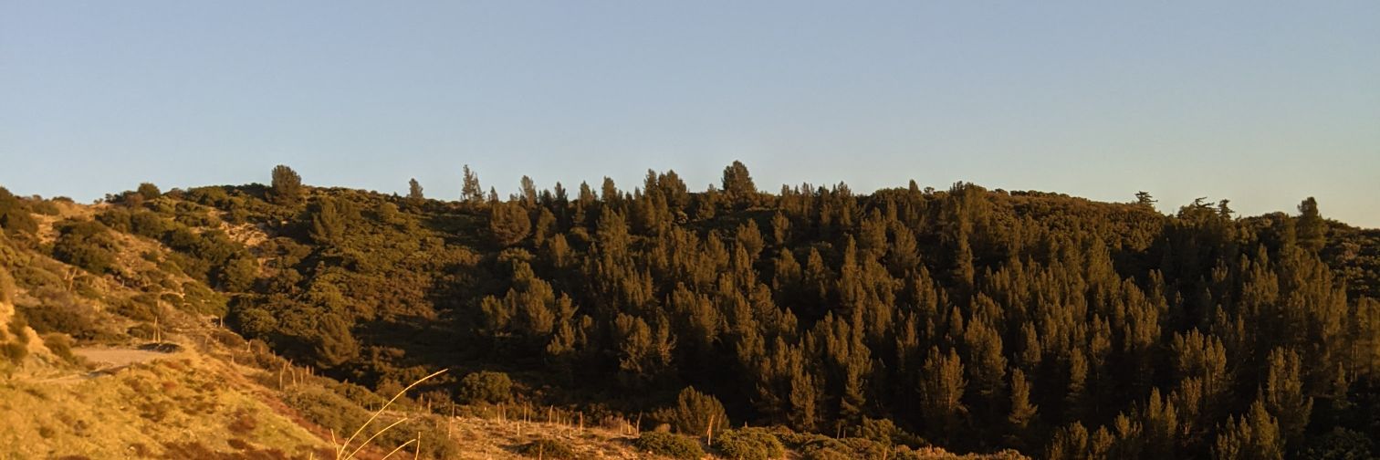 cachimbonaa's profile banner image