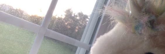 ‎.݁₊𐙚‧₊ཐིཋྀ༘ 𝜗𝜚ɞ⊹⋆ banner