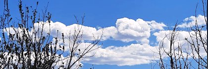 LizaTrue banner