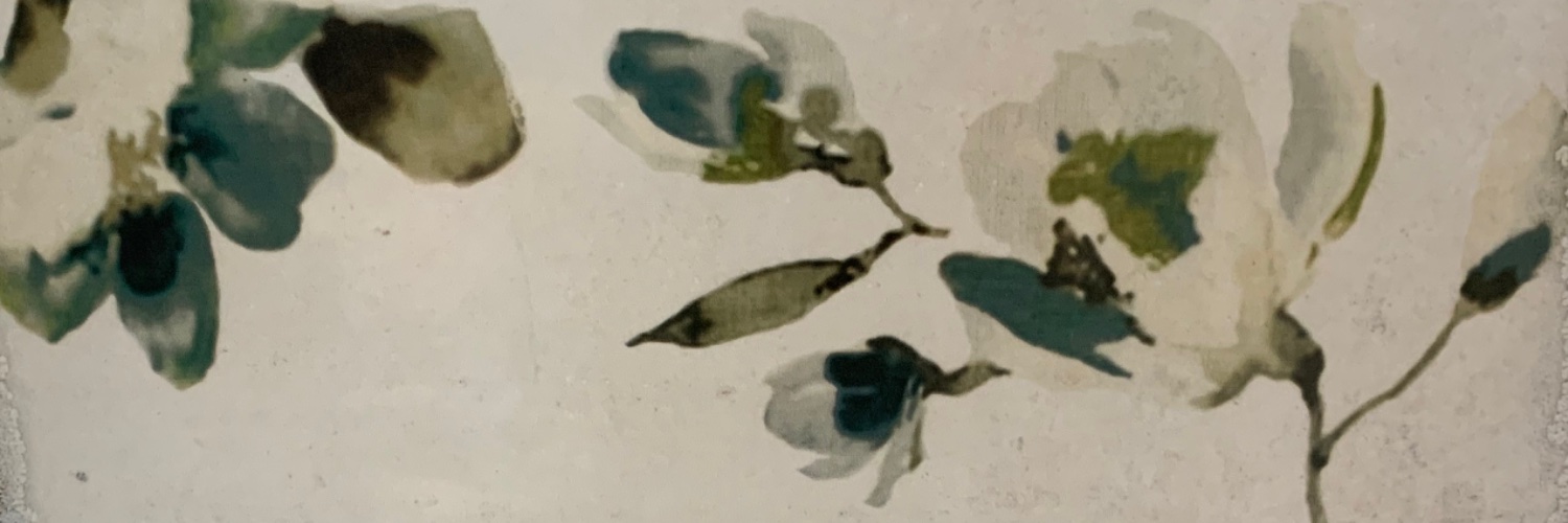 espacioae's profile banner image