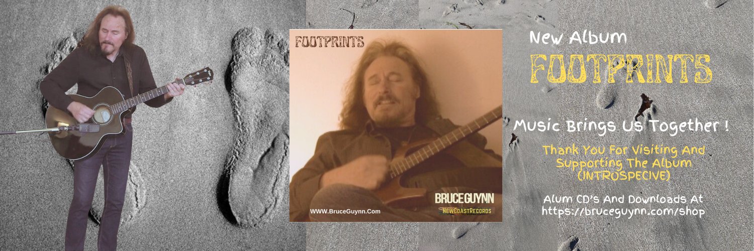 BruceGuynn & BigRain banner