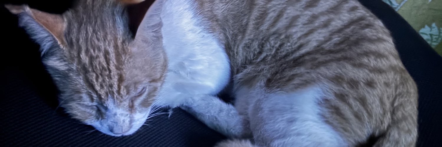 AffMerno's profile banner image