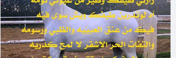 1010l11 Profile Banner