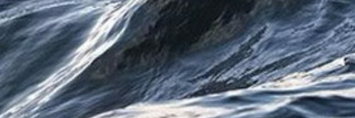Tad banner