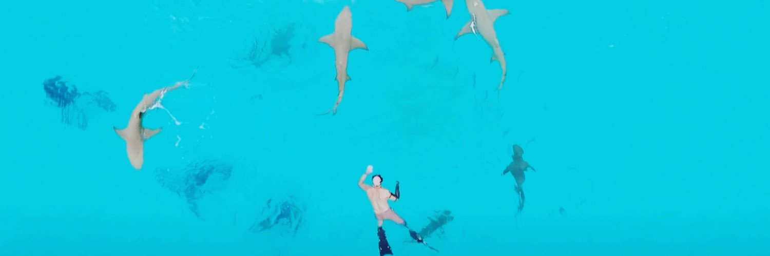 Paul de Gelder banner