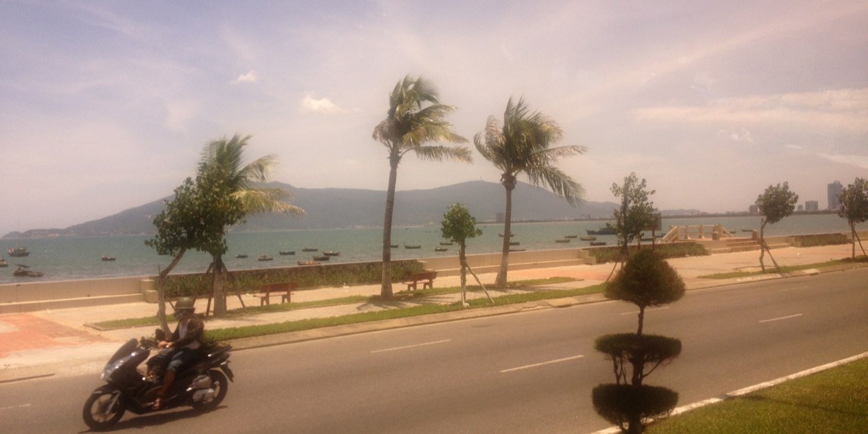 Elaine Deegan banner