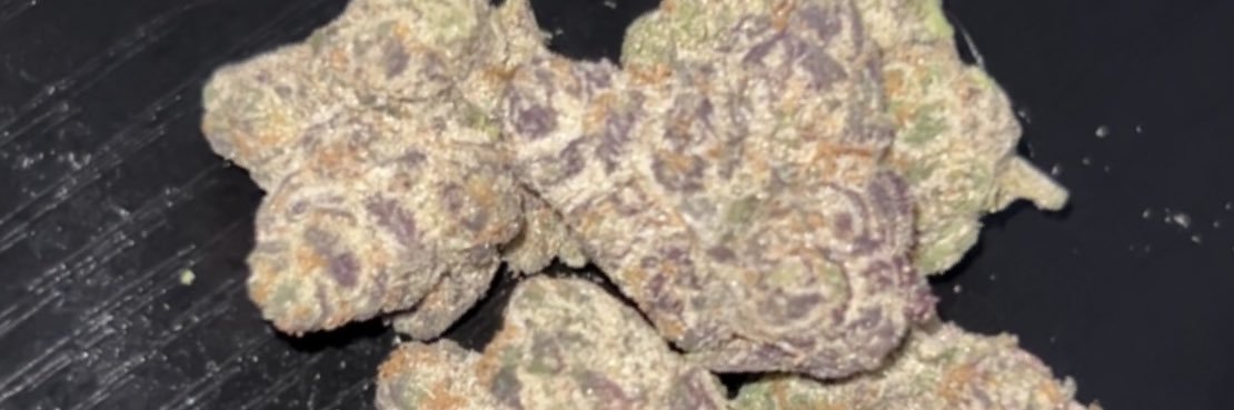 ConnerRiley.557 banner