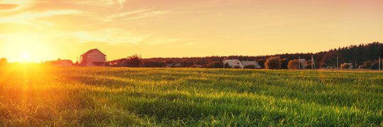 FreeRangeSupps's profile banner image