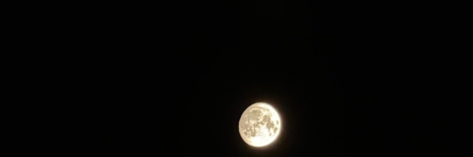 Risa. banner