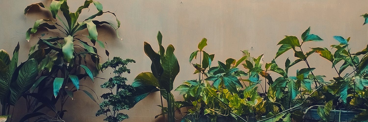 Yelanycn's profile banner image