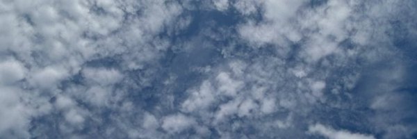 ethanknox06 Profile Banner
