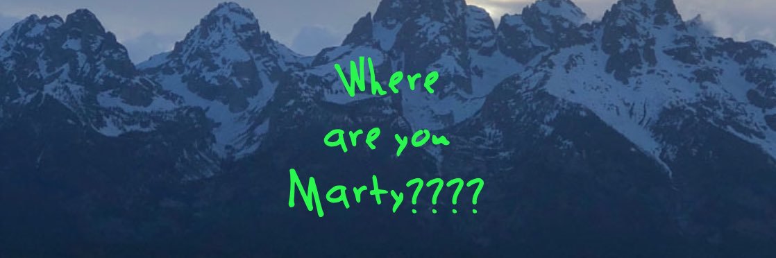 gene marty banner