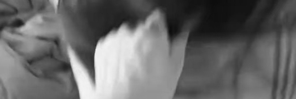 jack0407__'s profile banner image